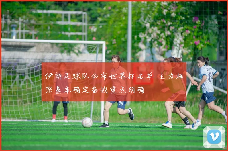 伊朗足球队公布世界杯名单 主力框架基本确定备战重点明确