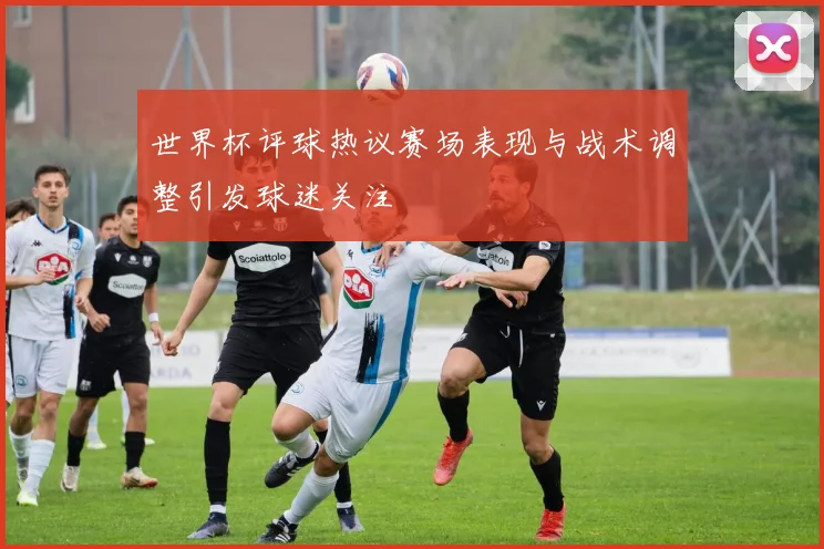 世界杯评球热议赛场表现与战术调整引发球迷关注
