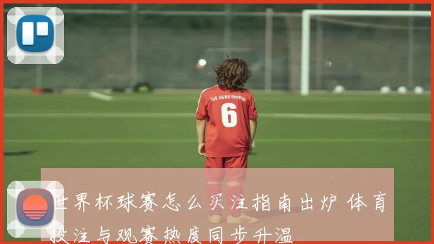 世界杯球赛怎么买注指南出炉 体育投注与观赛热度同步升温