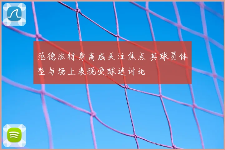 范德法特身高成关注焦点 其球员体型与场上表现受球迷讨论